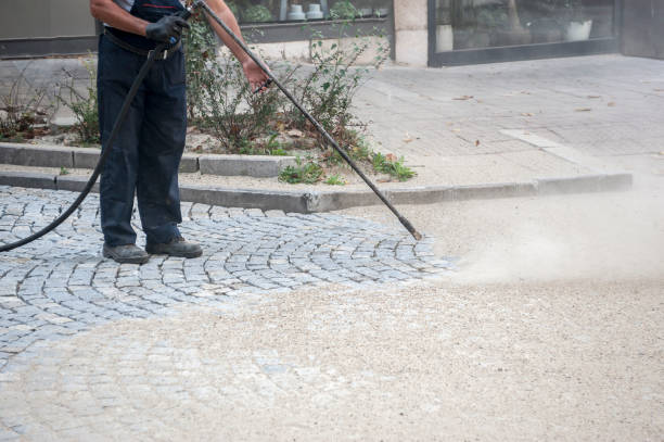 Best Sidewalk and Walkway Cleaning  in Perryville, MD
